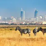 Visit the world's only urban wilderness reserve, Nairobi National Park.