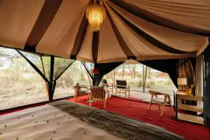 Interior from your bed.