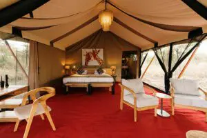 Interior of your room.