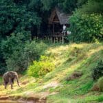 Elefante en el exterior del Pafuri Tented Camp.