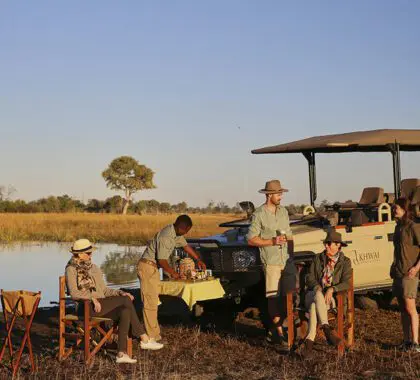 Safari matutino.