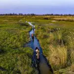 Paseos en mokoro por el delta del Okavango | Tuludi Camp