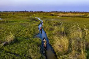 Paseos en mokoro por el delta del Okavango | Tuludi Camp