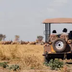 En un safari en Usangu | Usangu Expedition Camp