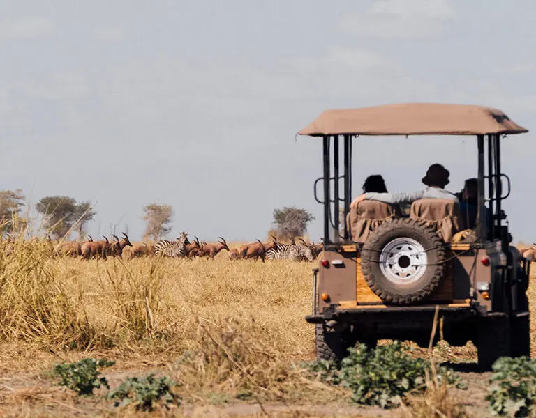 On a game drive in Usangu | Usangu Expedition Camp