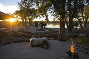Hyena Pan, elefantes al atardecer.
