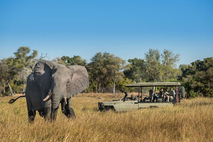 Elephant sighting with Hyena Pan Camp in the Okavango Delta, Botswana | Go2Africa