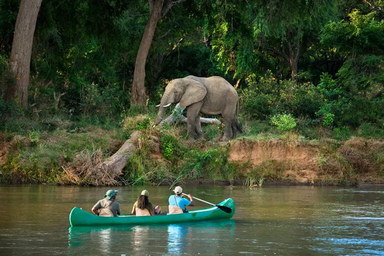 Explore the awe-inspiring Zambezi River.