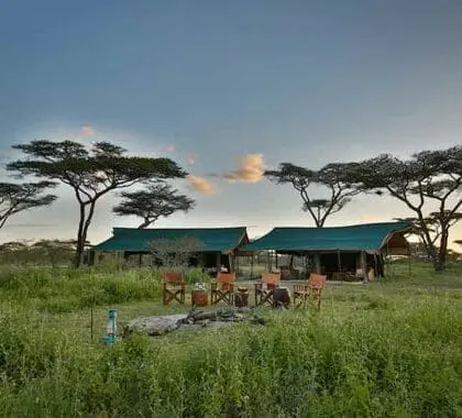 Nyikani-Migration-Camp---Ndutu-_The-Camp