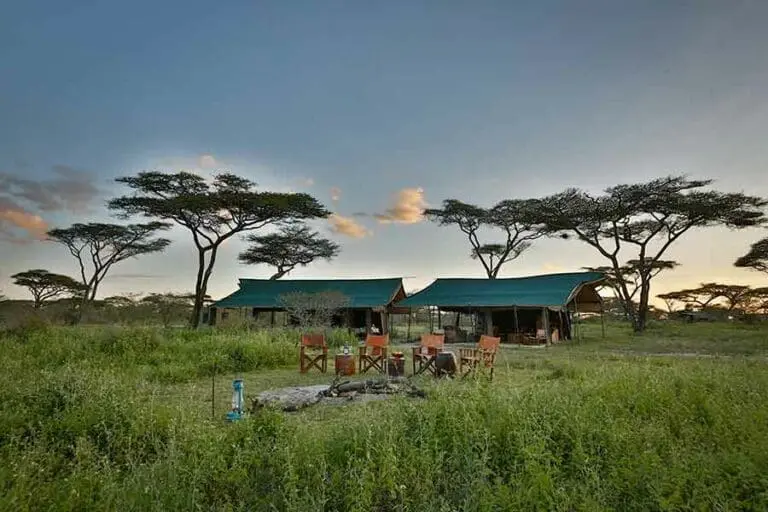 Nyikani Migration Camp.