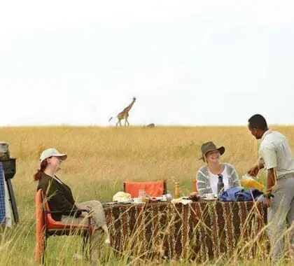 Desayuno en la sabana con jirafas al fondo en el campamento de Olakira.