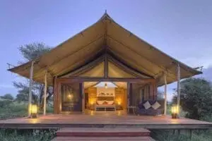 Tienda Tarangire Ndovu.