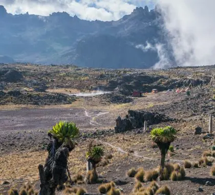 Trekking on Mount Kenya in Kenya | Go2Africa