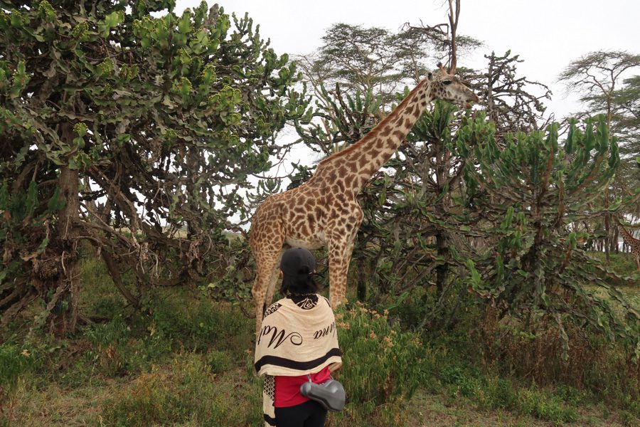 Walking safari on Crescent Island, lake Naivasha, Great Rift Valley | Kenya | Go2Africa