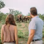 Get close to wildlife at The Wallow Lodge.