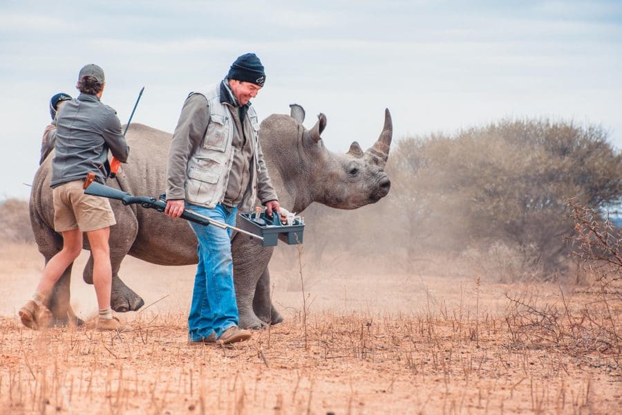 Rhino conservation experiences at Marataba Conservation Camps, South Africa | Go2Africa 