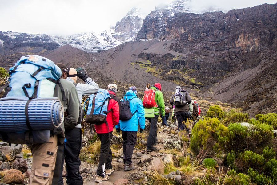 Trekking group hiking up Mount Kilimanjaro in Tanzania | Go2Africa