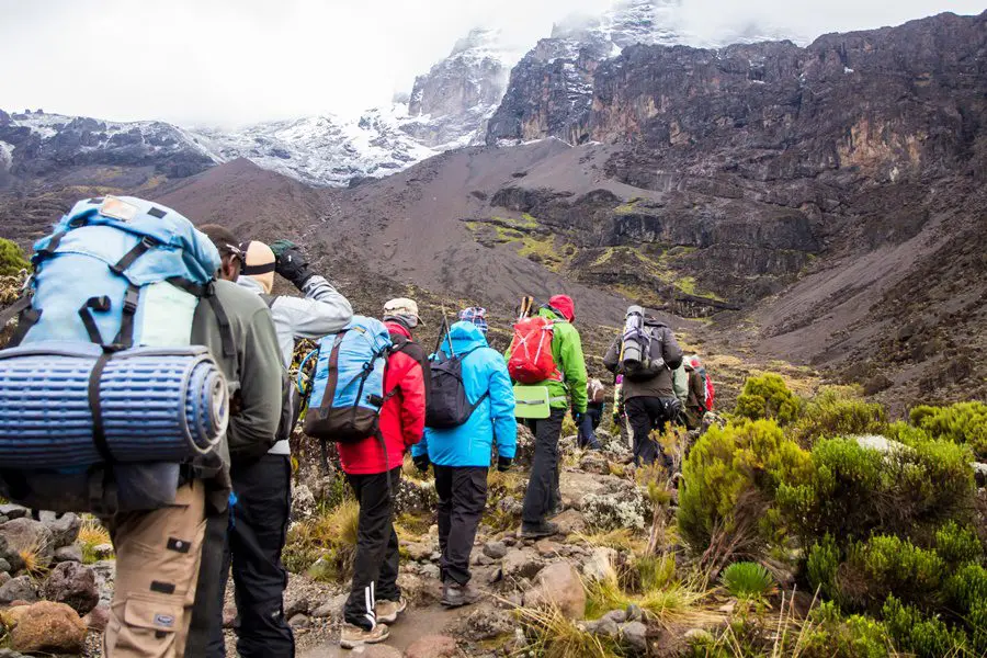 Trekking group hiking up Mount Kilimanjaro in Tanzania | Go2Africa