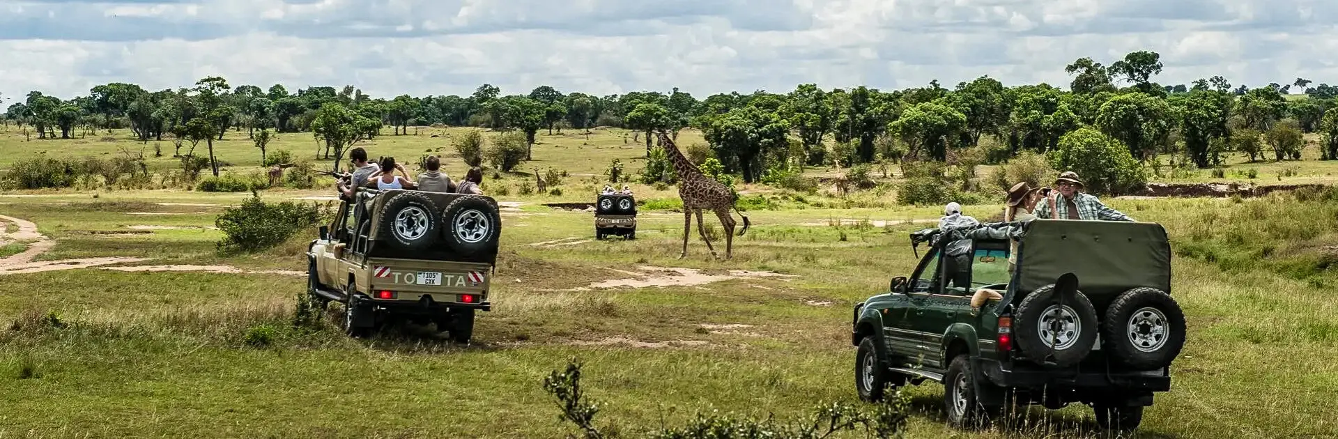 Several game vehicles traverse the area while giraffe wander through | Go2Africa