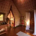 Tent bathroom.