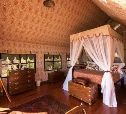 Interior de la tienda.