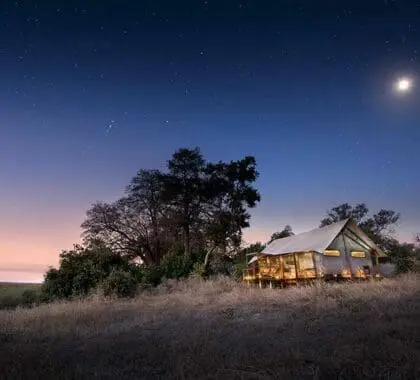 Tienda exterior del Linyanti Bush Camp| Linyanti Bush Camp