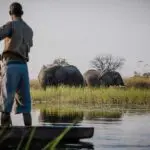 Mokoro safari.