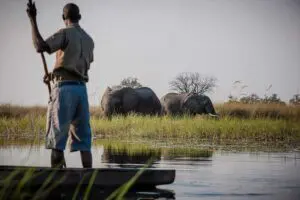 Mokoro safari.