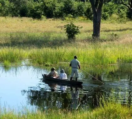 Excursiones en mokoro (dependiendo del nivel del agua). 