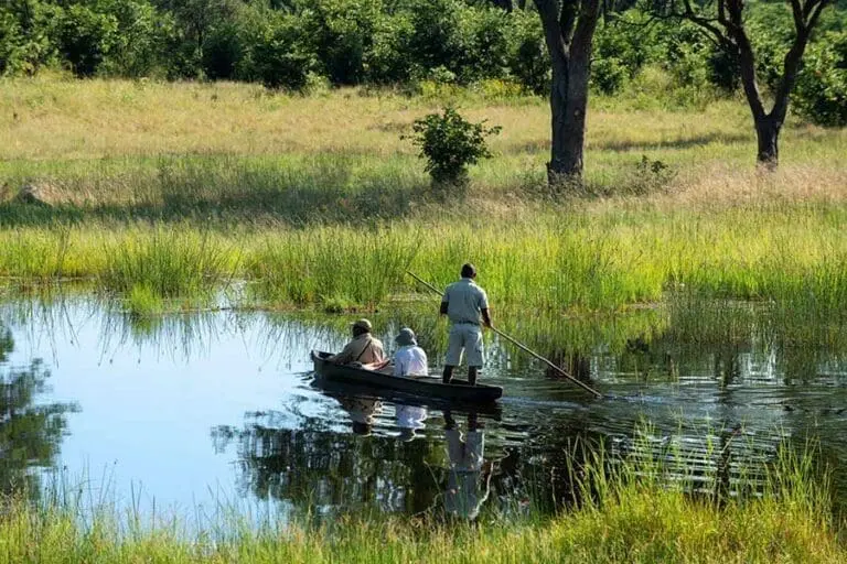 Mokoro excursions (water level dependant). 