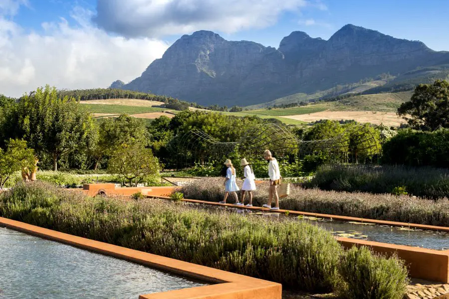 babylonstoren-farm-hotel_11-lavender_waterblommetjie_ponds_simonsberg-2