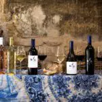 Disfrute de vinos de categoría mundial en los viñedos de Cape Winelands. 