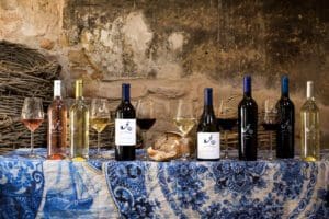 Disfrute de vinos de categoría mundial en los viñedos de Cape Winelands. 