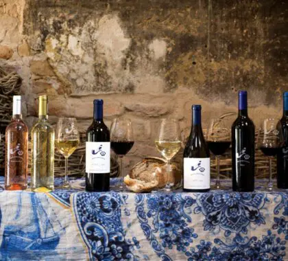 Disfrute de vinos de categoría mundial en los viñedos de Cape Winelands. 