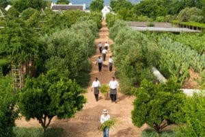 Frescura de la granja a la mesa en Babylonstoren. 