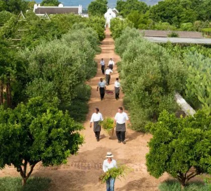 Frescura de la granja a la mesa en Babylonstoren. 
