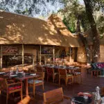 Dine on the deck in the shade of the tall trees surrounding camp. 