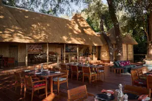 Dine on the deck in the shade of the tall trees surrounding camp. 