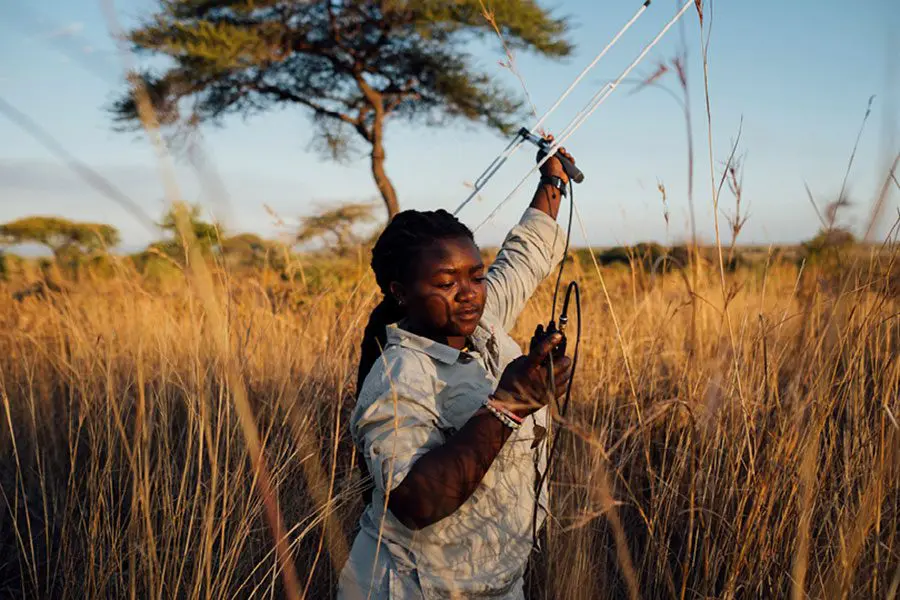 Asilia-África--Usangu-Expedition-Camp_Telemetry-tracking-and-data-collection