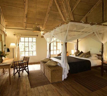 Luxury accommodation at Bwindi Lodge, Uganda | Go2Africa