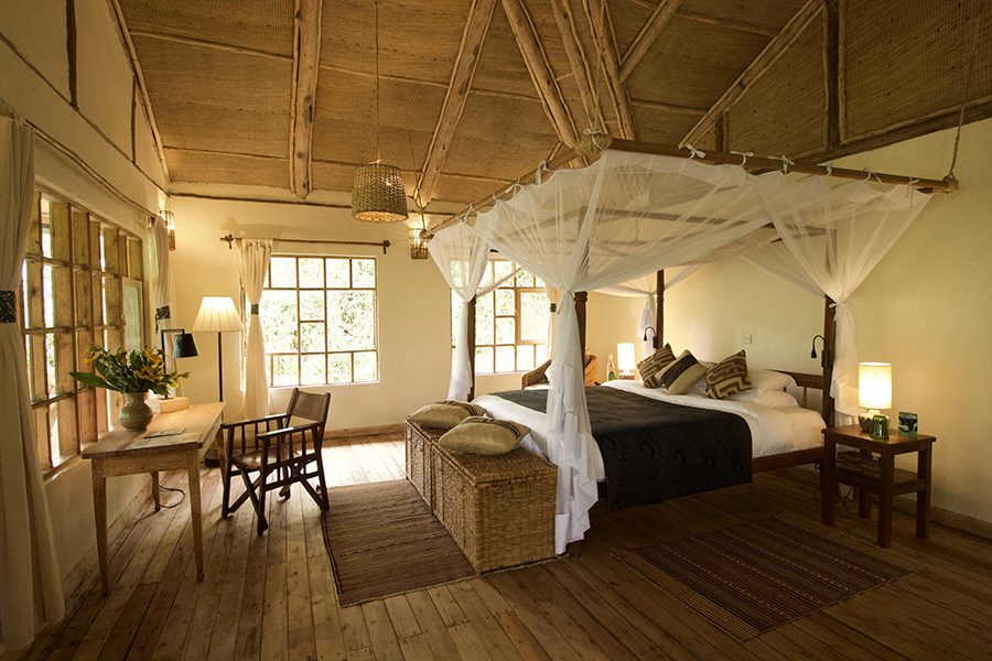 Stay in luxury at Bwindi Lodge. 