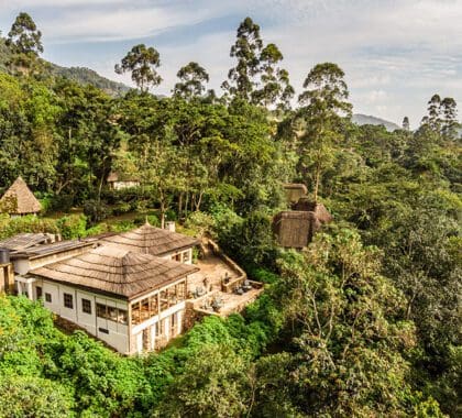 Una vista aérea del Bwindi Lodge, rodeado de un paisaje exuberante. 
