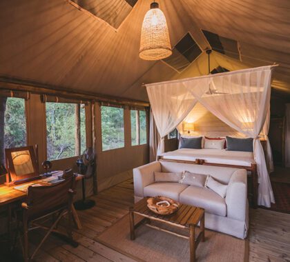 Luxury tented accommodation at Camp Xakanaxa, Okavango Delta | Go2Africa