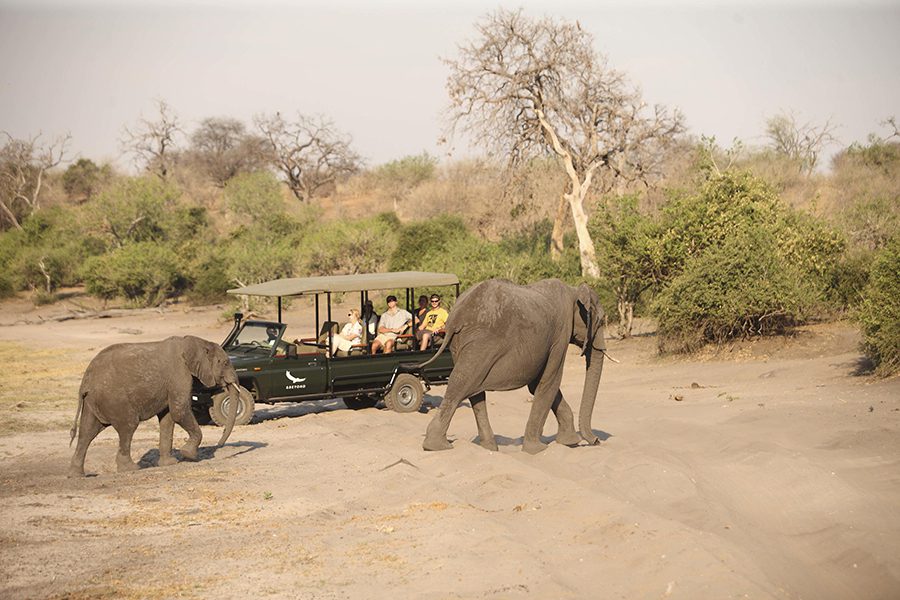 Spotting elephants on a game drive at Chobe Under Canvas in the Chobe National Park.