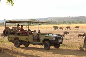 Game drives through Selous.
