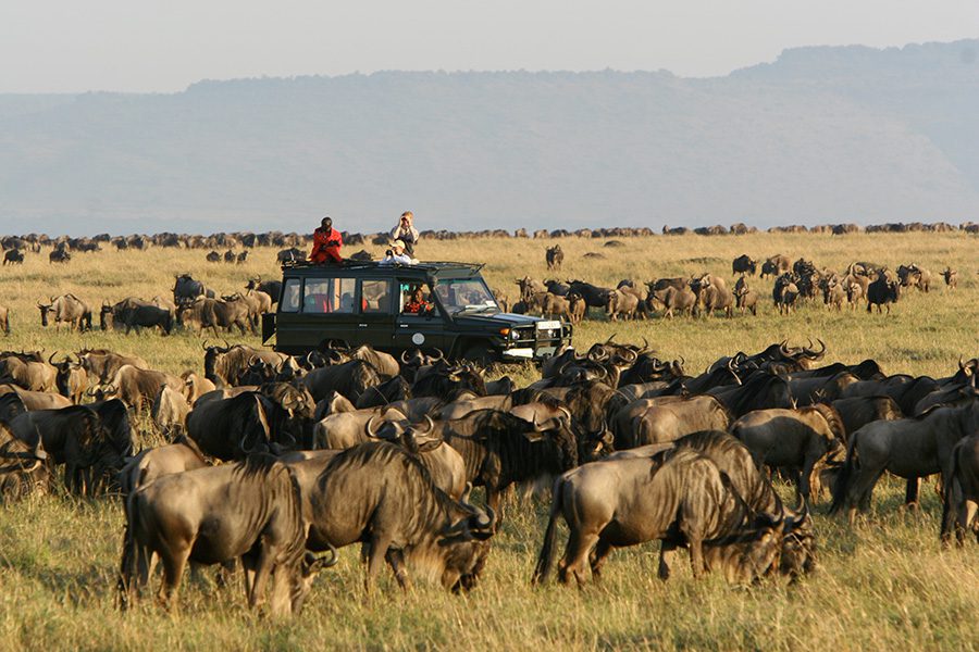 Passengers in a safari vehicle watch the wildebeest as part of the Great Migration at Rekero Camp in the Masai Mara, Kenya