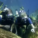 Buceo en el lago Malawi. 