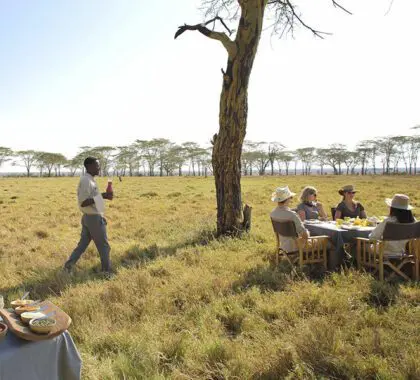 Namiri-Plains-Fever-tree-forest-breakfast