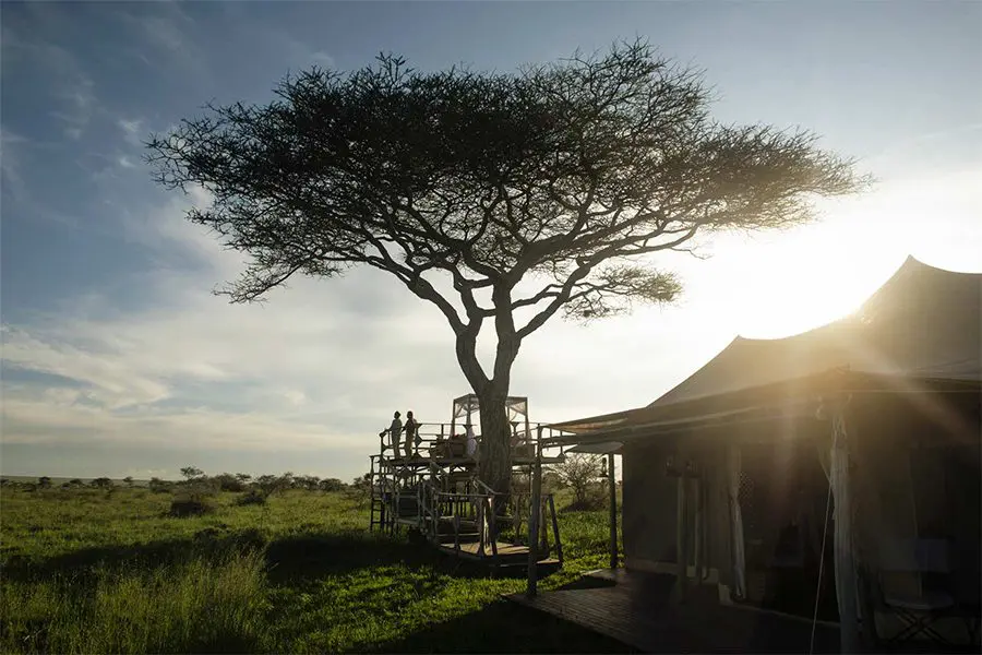 olmara-gallery-stargazer