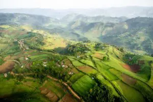Foto aérea del Sanctuary Gorilla Forest Camp en Uganda